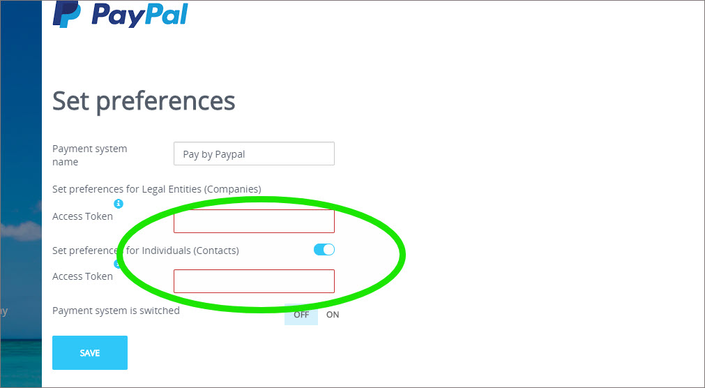 Access Token PayPal.jpg